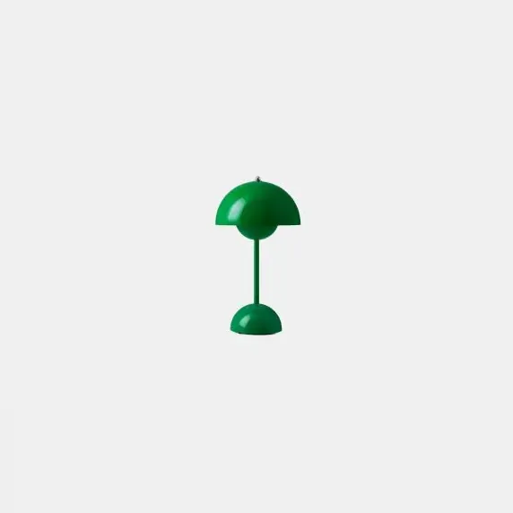 Flowerpot VP9 Portable